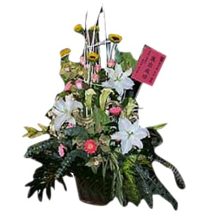 Flower Stand-132