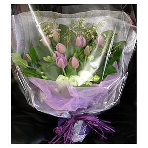 20pcs Tulips