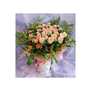 33pcs Rose