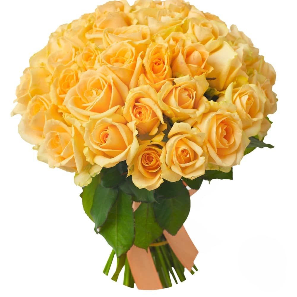 Bouquet of 50 yellow roses (Refined)