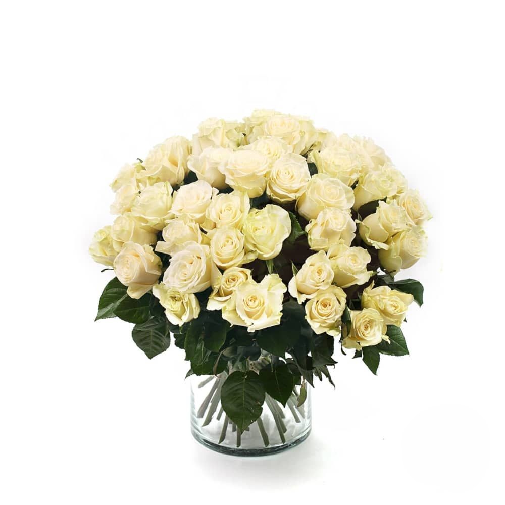 Bouquet of 50 White Roses (Refined)