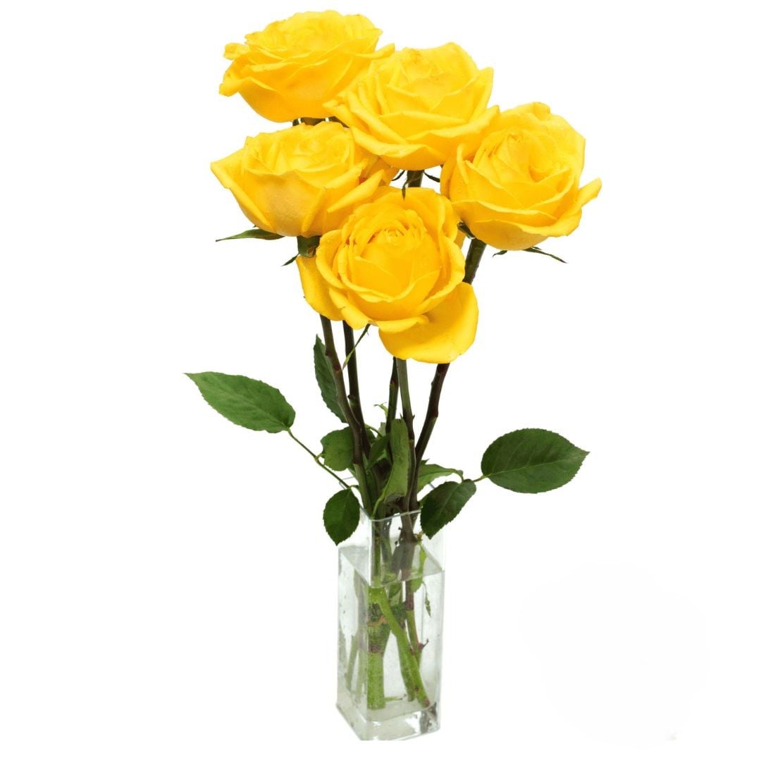 5 Yellow Roses (Refined)