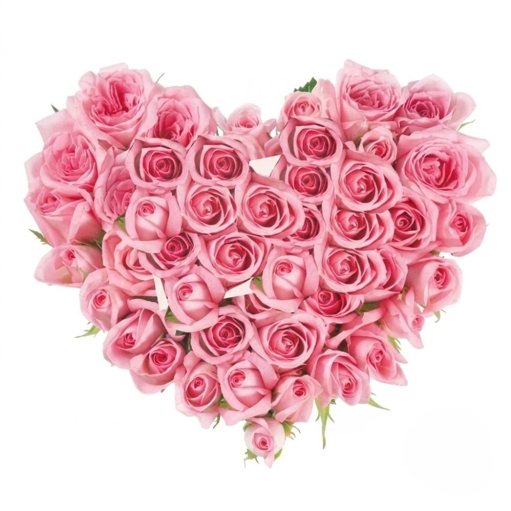 Heart of Pink Roses (Refined)