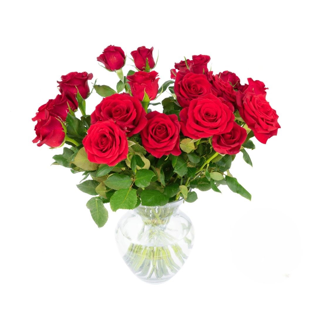 Bunch of 18 Red Roses (Refined)