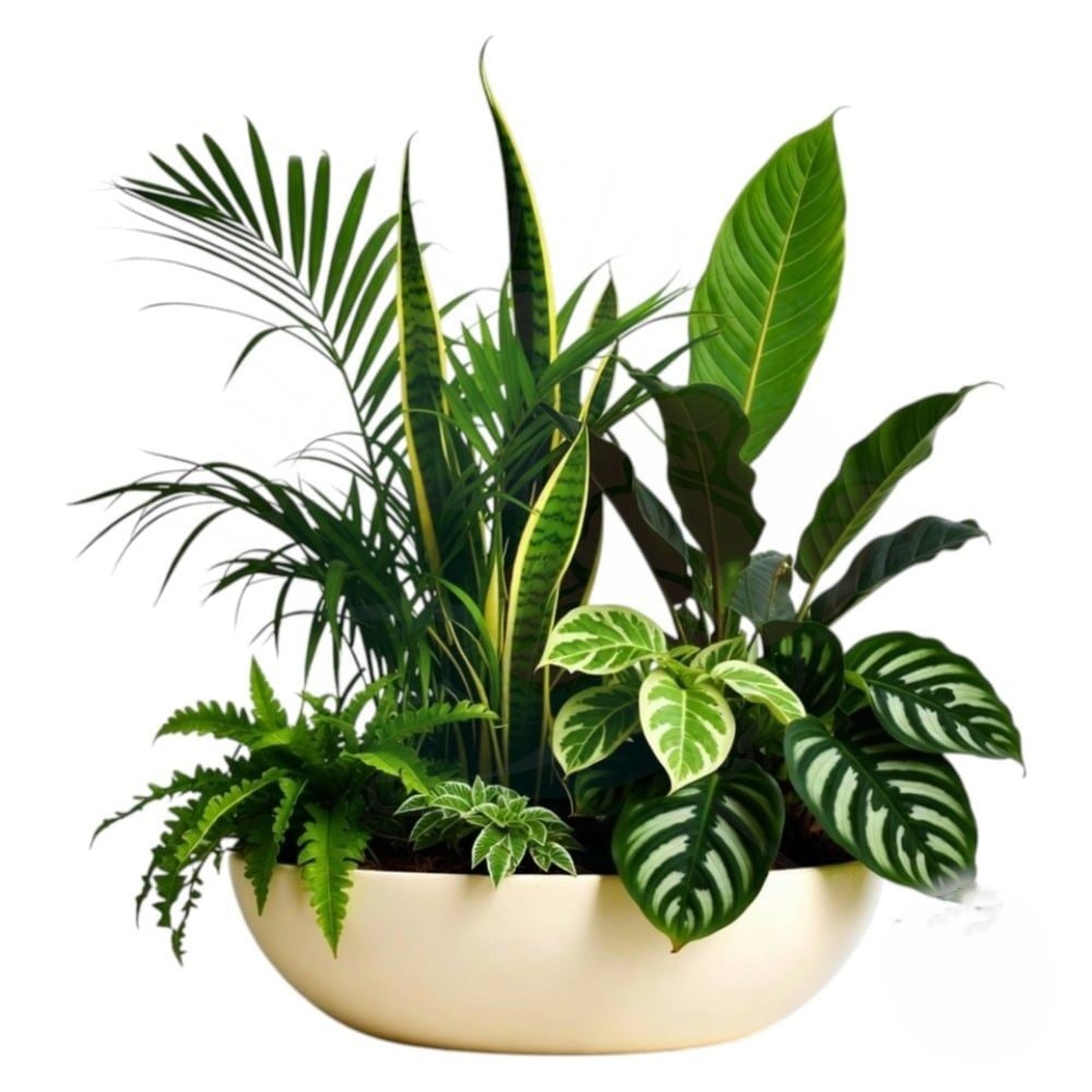 Composition of green plants (Refined)