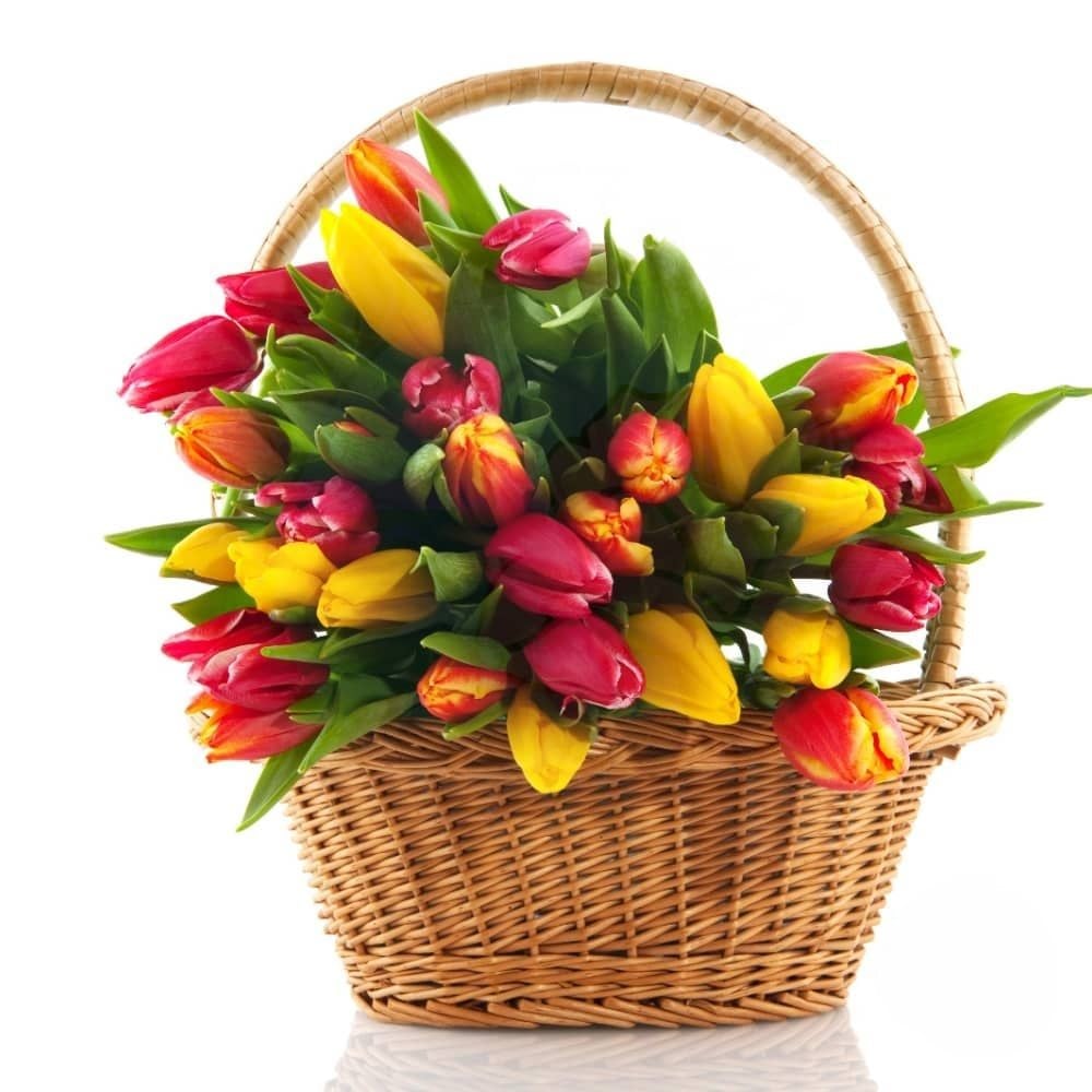 Basket of yellow and red tulips (Refined)
