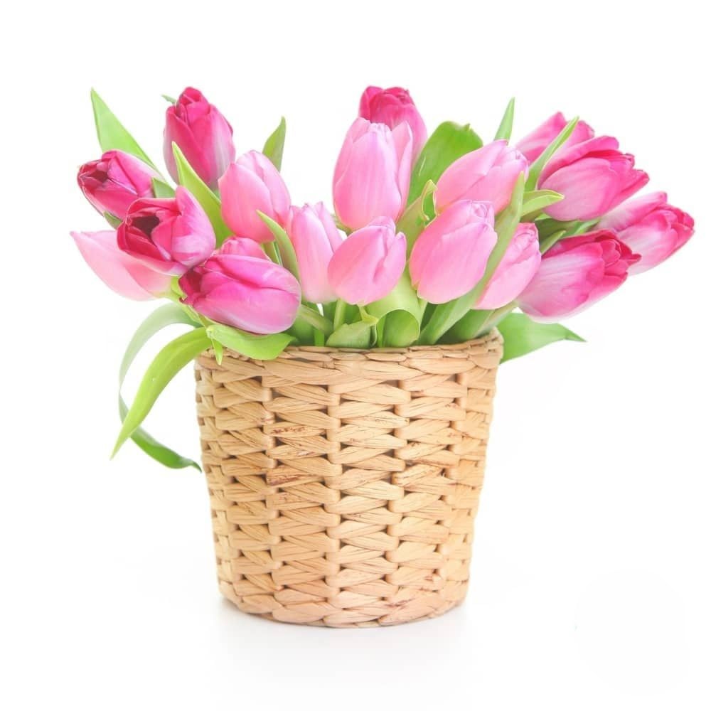 Basket of light pink tulips (Refined)