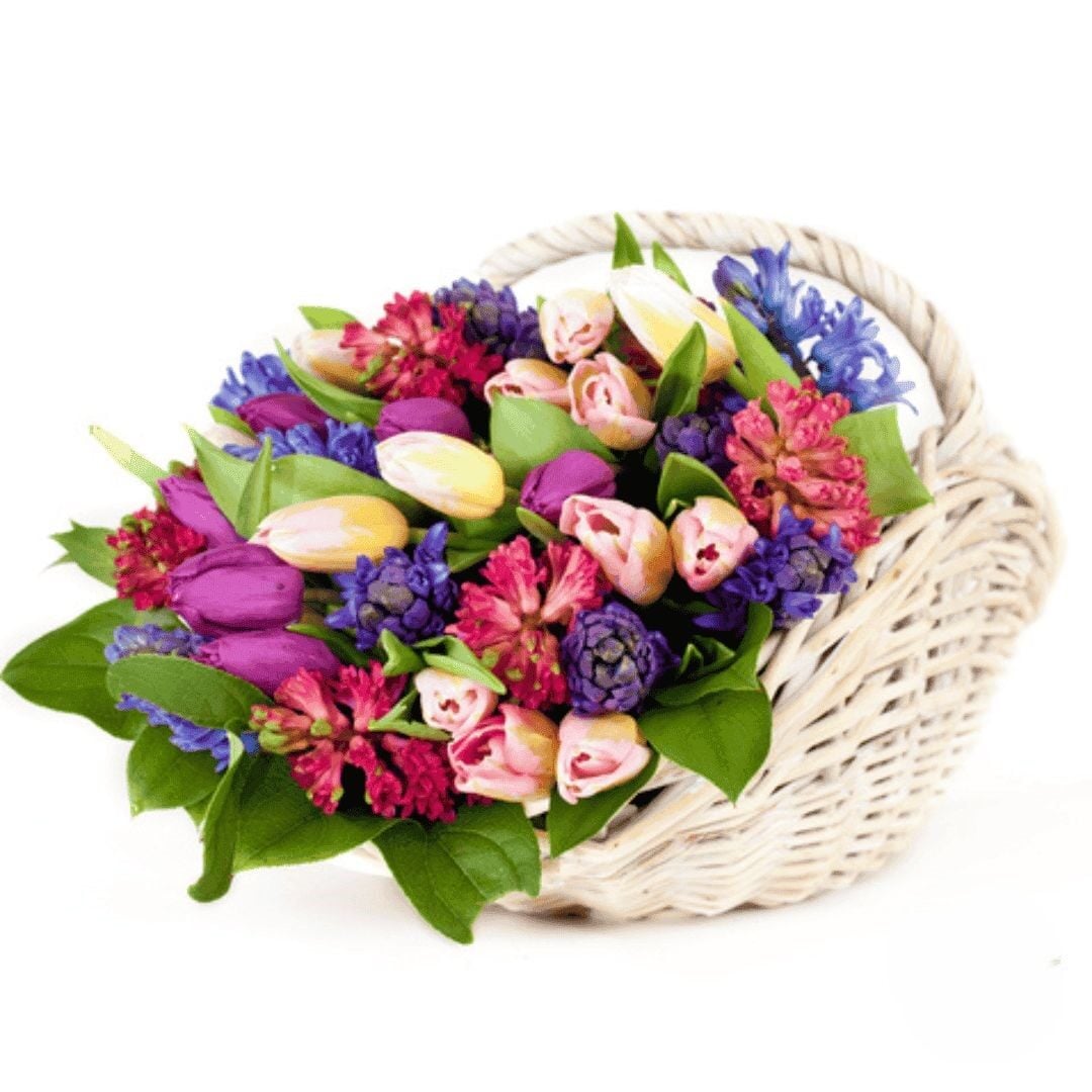 Basket of multicolour tulips