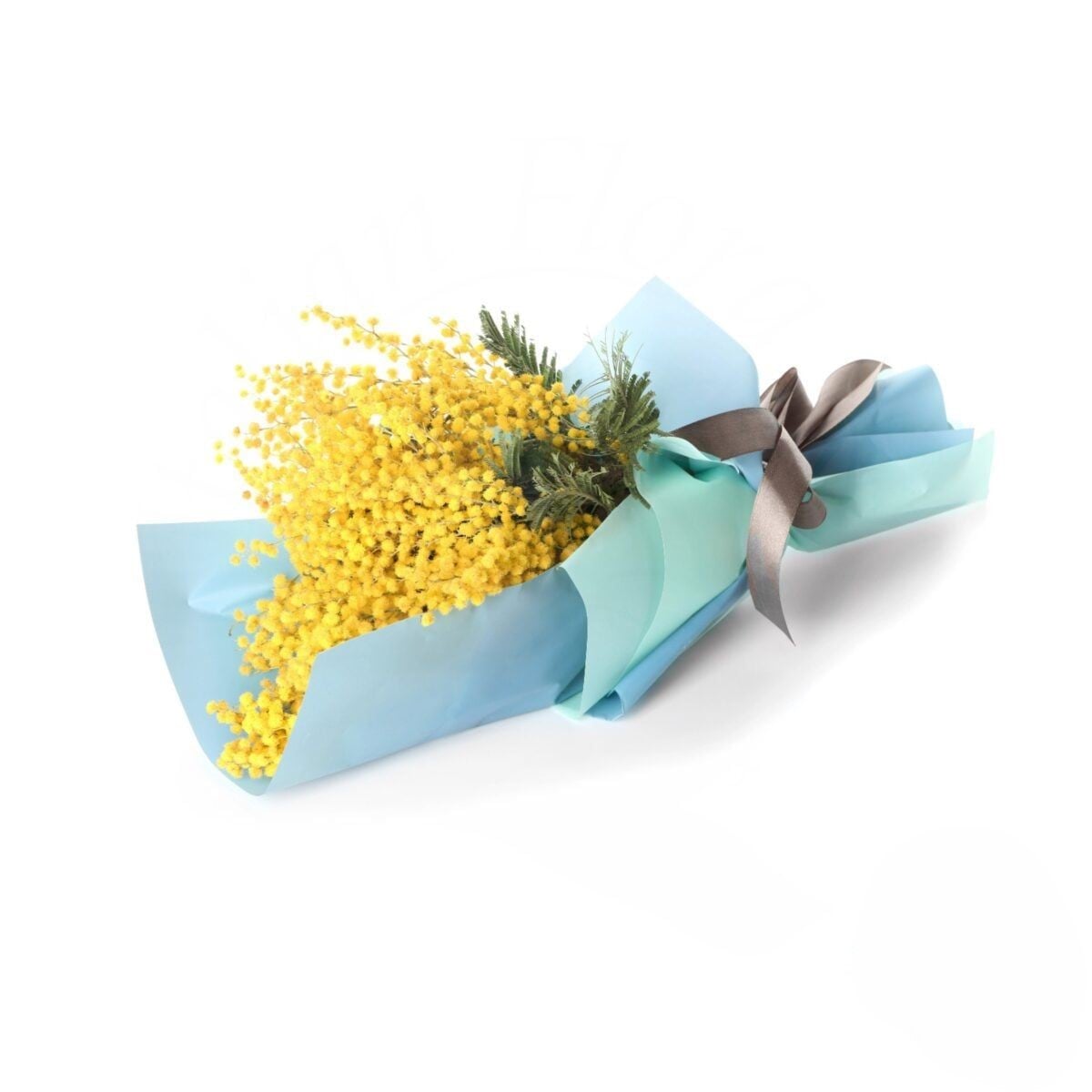 Mimosa (Refined)