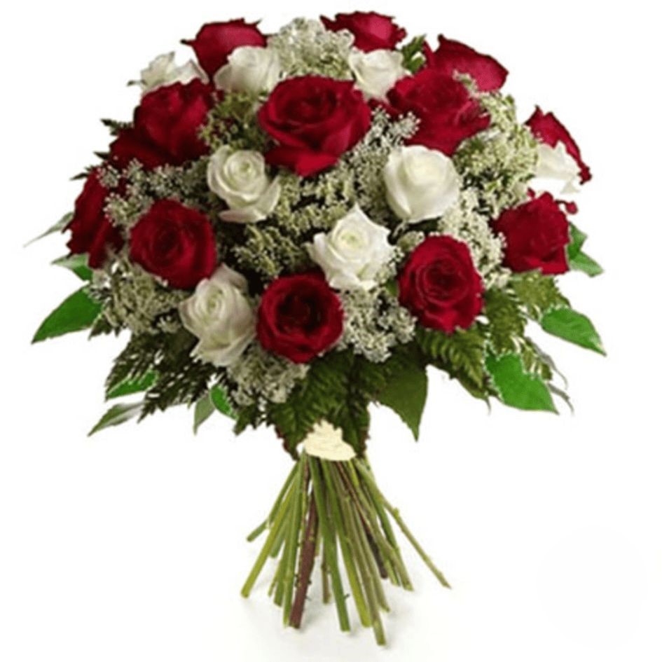 Red and white roses (Refined)