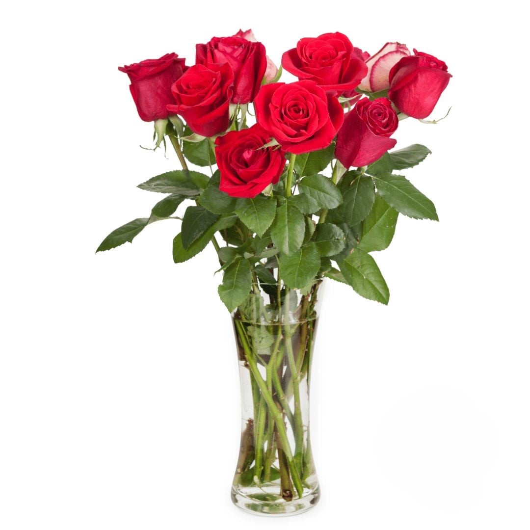 9 Red Roses (Refined)