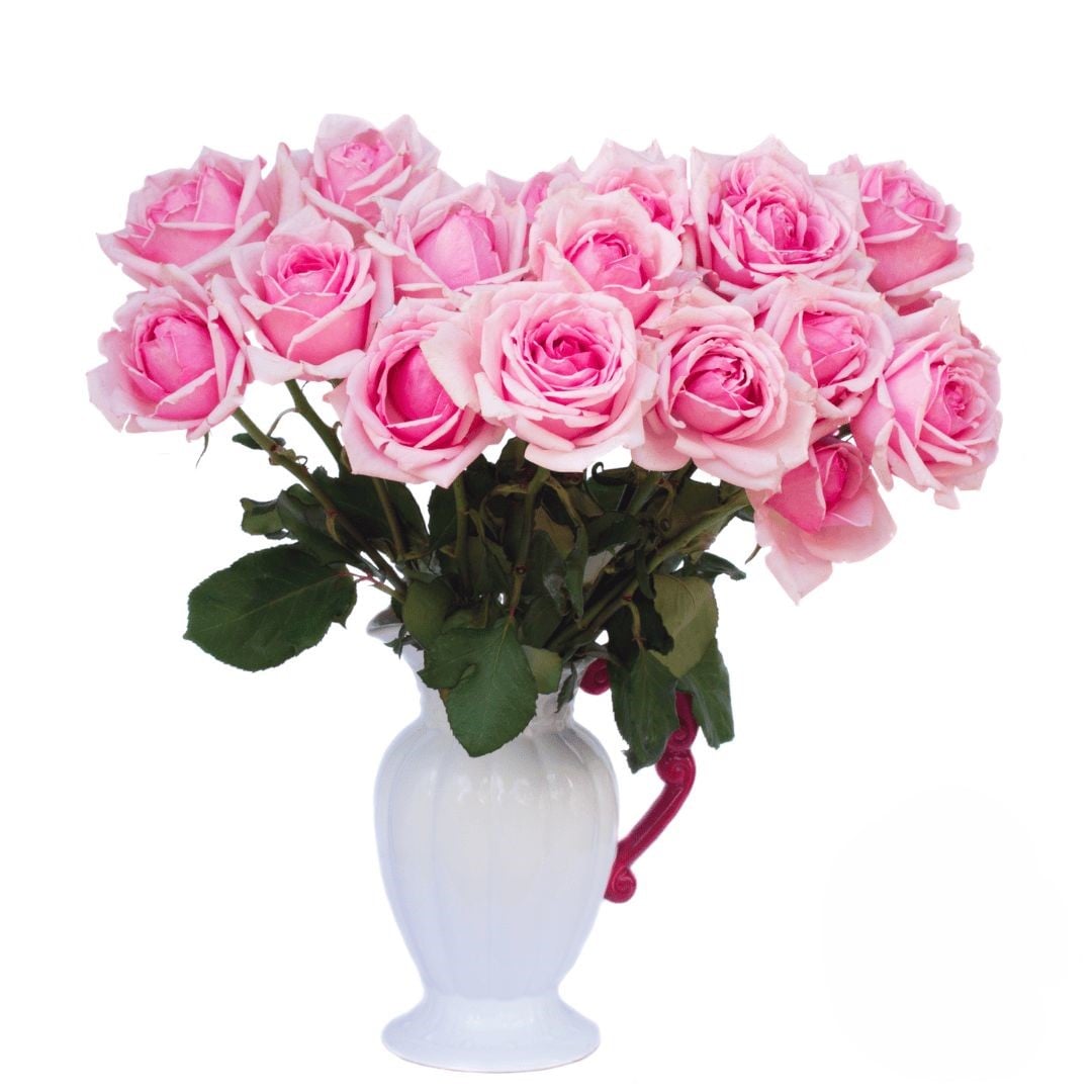 15 Pink Roses With Vase (Refined)