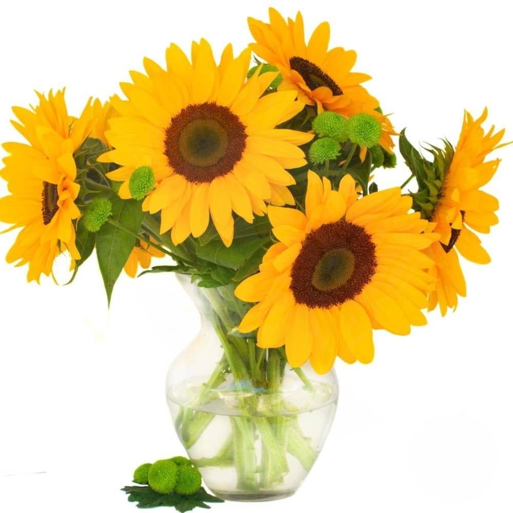 Sunflowers in Vase (Refined)
