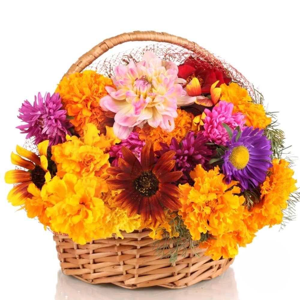 Basket composition in shades of yellow, orange and purple (Refined)