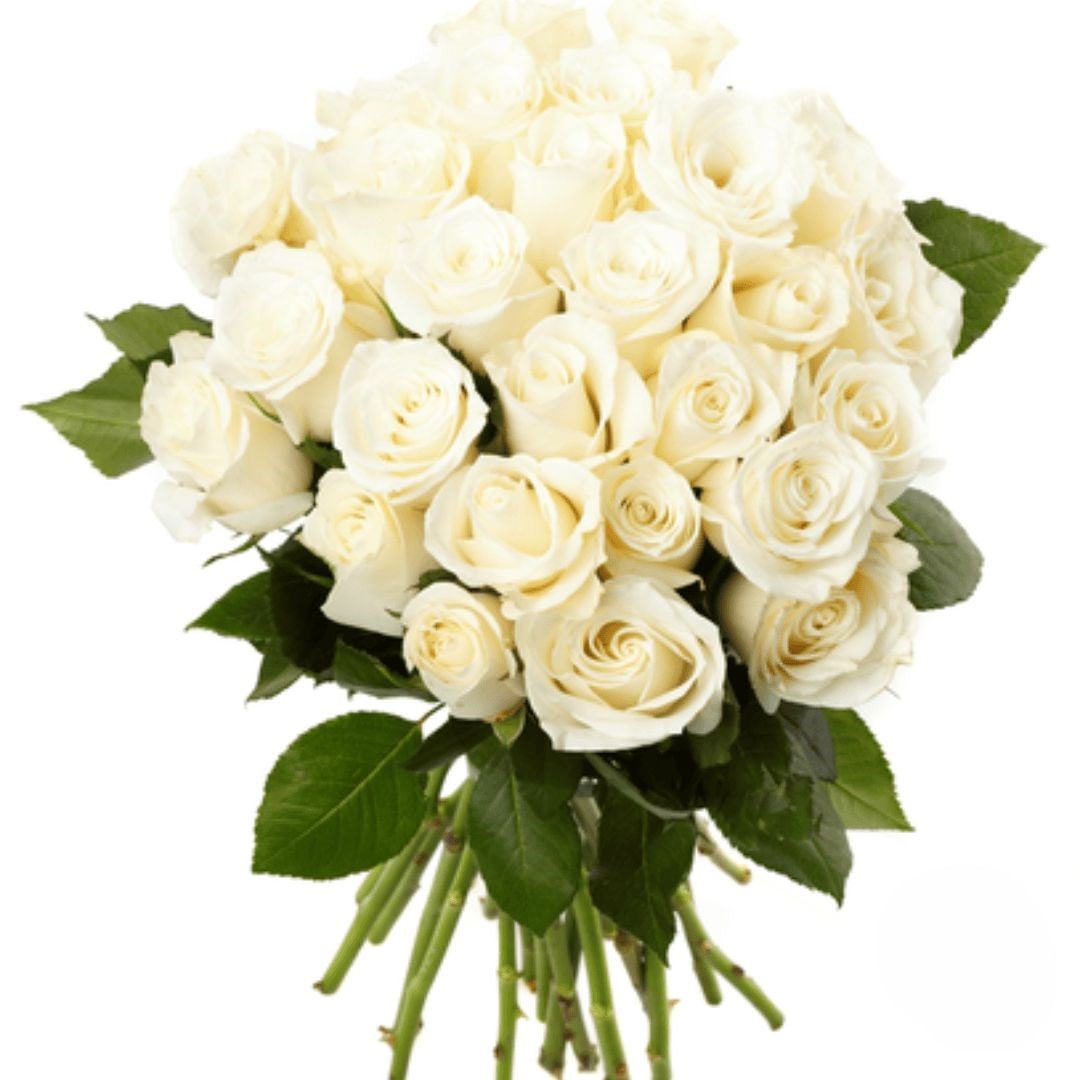 Bouquet of 24 White Roses (Refined)