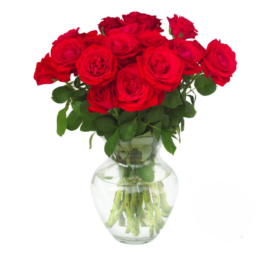 15 Red Roses (Refined)