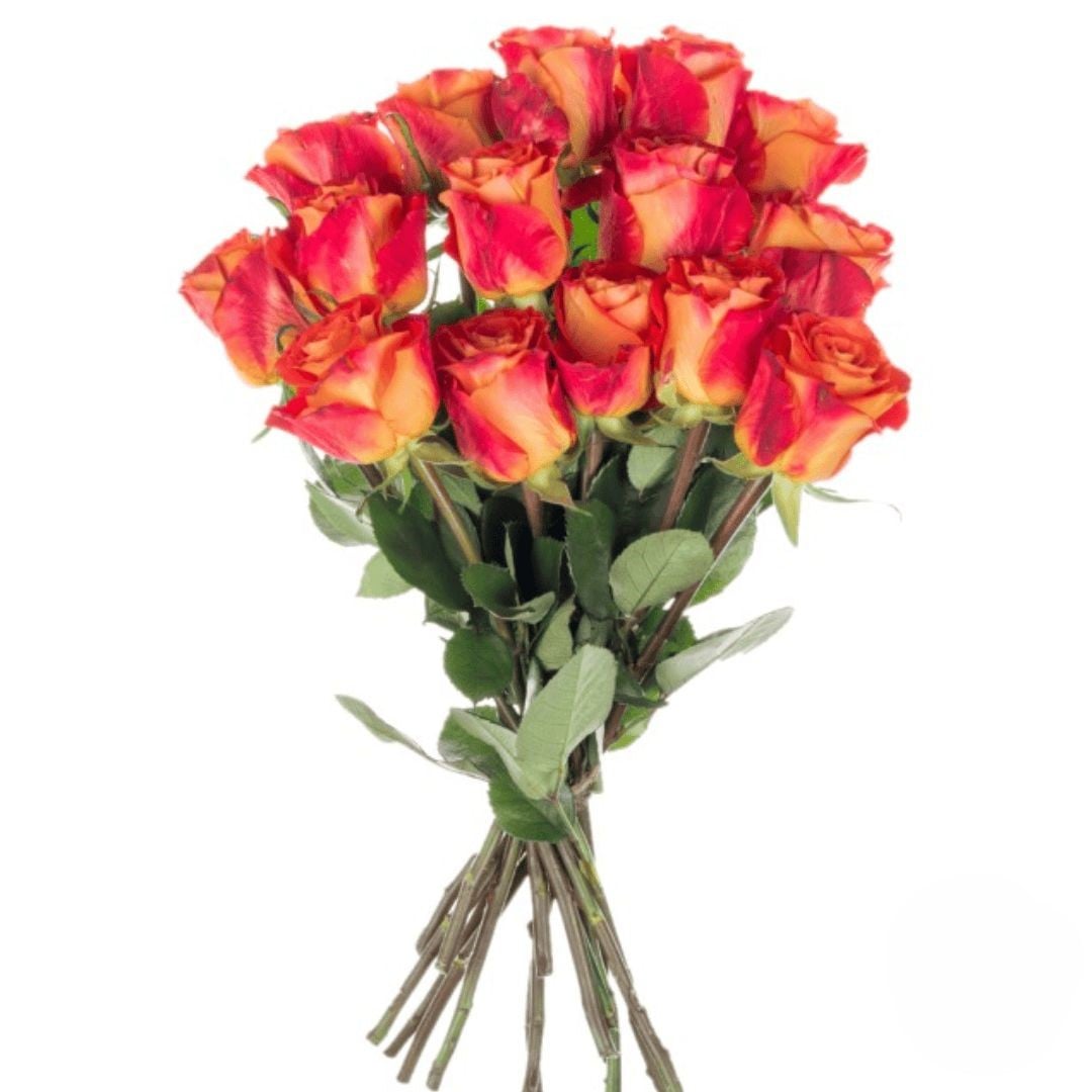 Bouquet Of 15 Orange Roses (Refined)