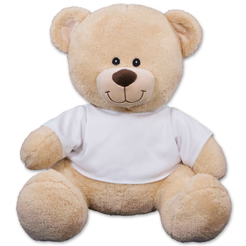 Will You Marry Me Teddy Bear - 17"