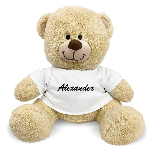 Personalized Any Name Teddy Bear
