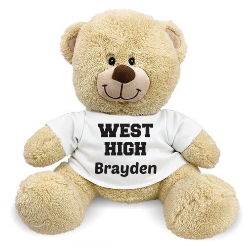 School Spirit Teddy Bear (11" Teddy Bear)