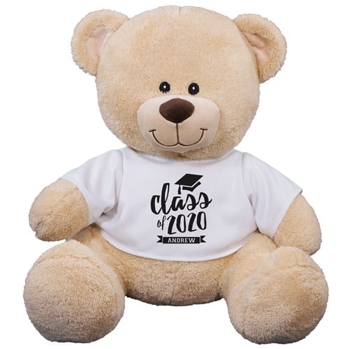 Class Of Teddy Bear (11" Teddy Bear)