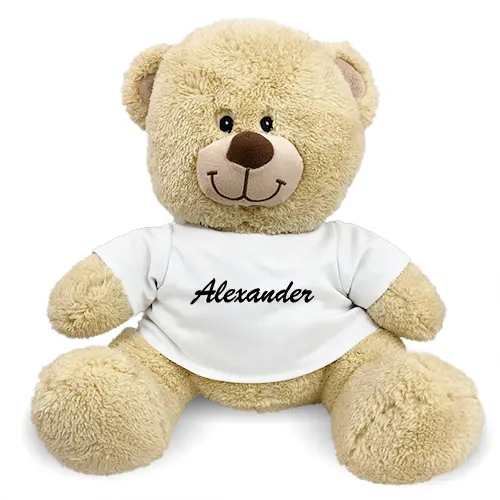 Personalized Any Name Teddy Bear
