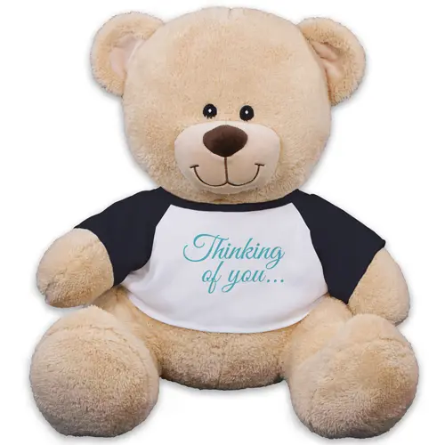 Thinking of You Teddy Bear - 17"