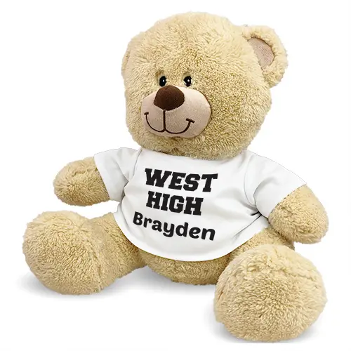 School Spirit Teddy Bear