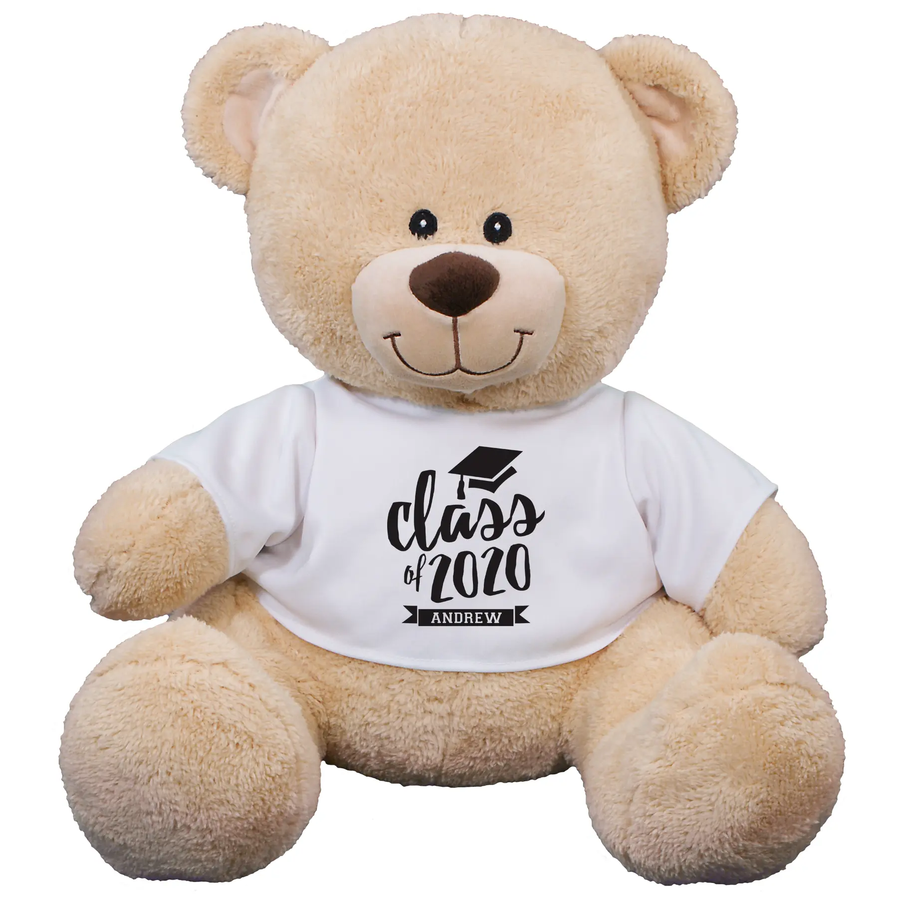 Class Of Teddy Bear