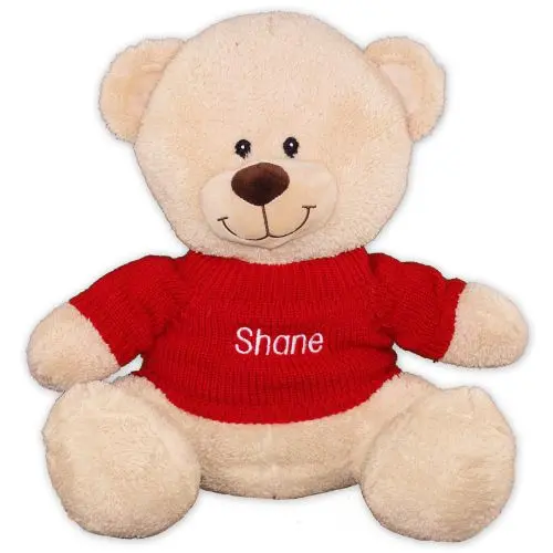 Embroidered Name Teddy Bear - 17"