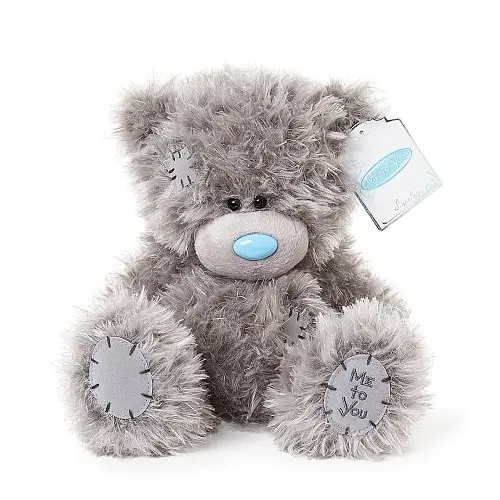 Personalised 9" Me to You Bear Small