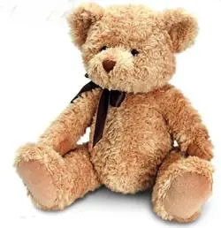 28cm Sherwood Teddy Bear
