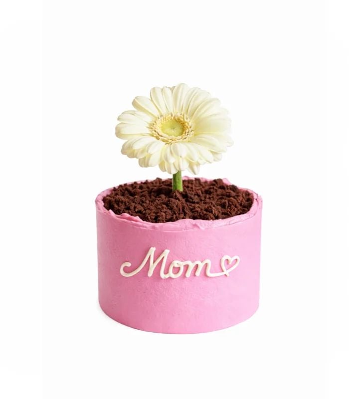 Mom's Bloom Cake (2-3 persons)