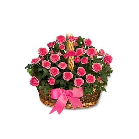 Pink Rose Basket