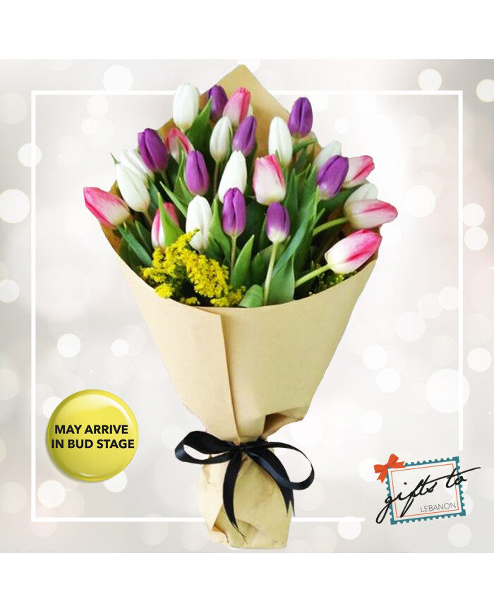 Tulip Energy