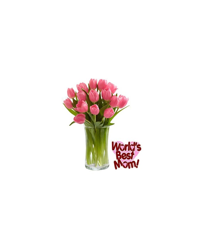Pink Tulips