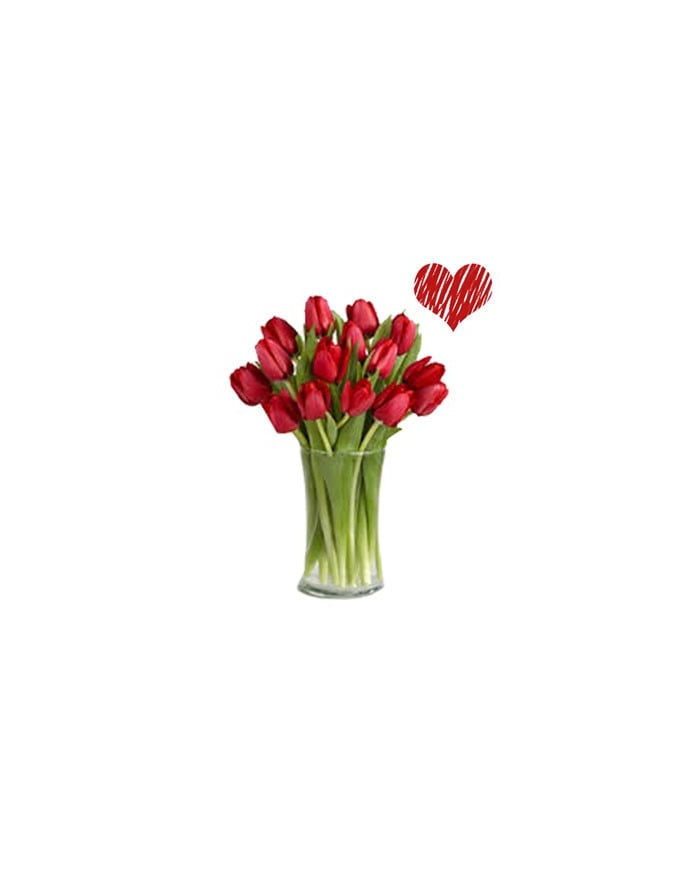 Red Tulips