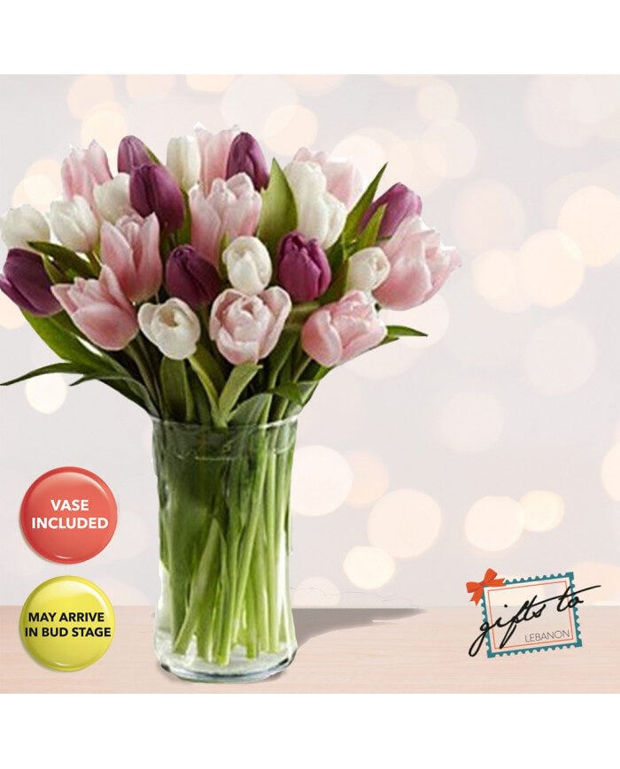 Charming Tulips