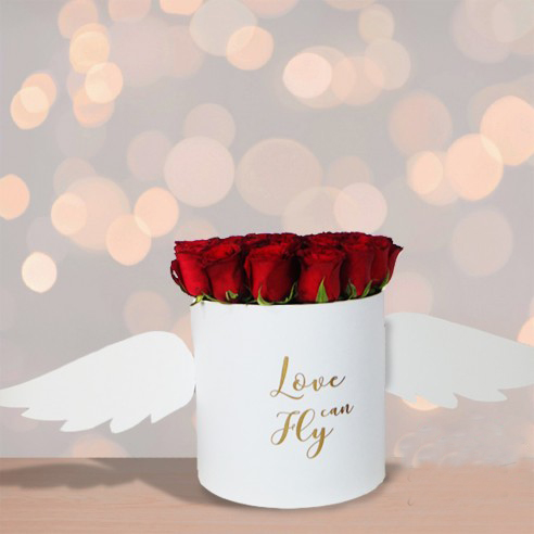 Love Can Fly