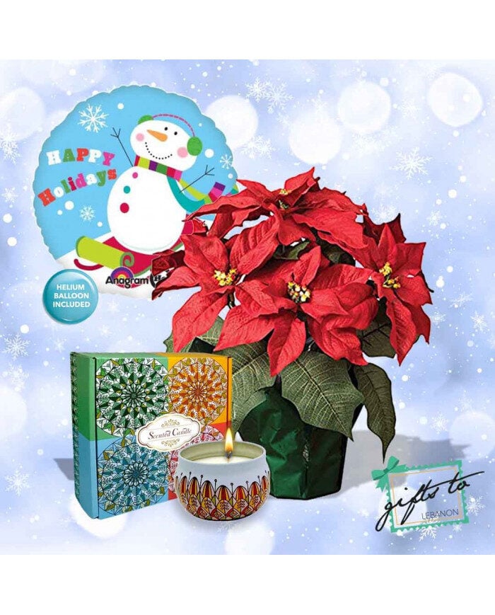Poinsettia and Soy Scented Candles Gift Box
