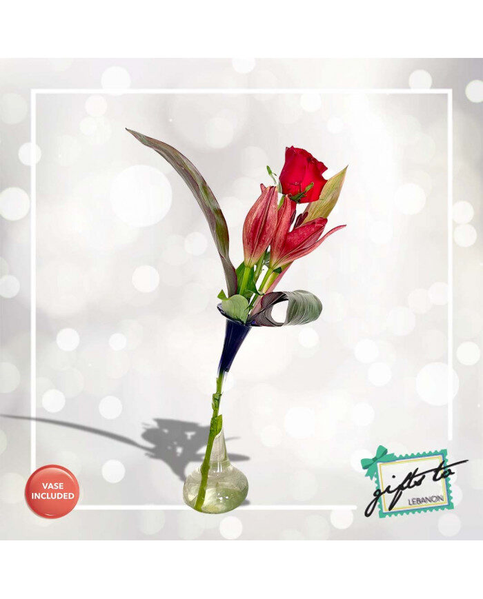 Single Vased Rose
