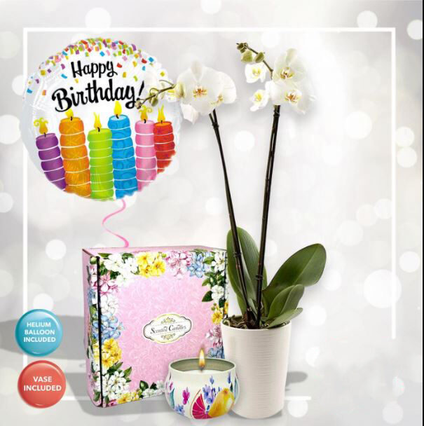 Double Stem White Orchids with Scented Candles Gift Set