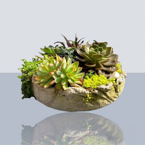 Evergreen Table Pot