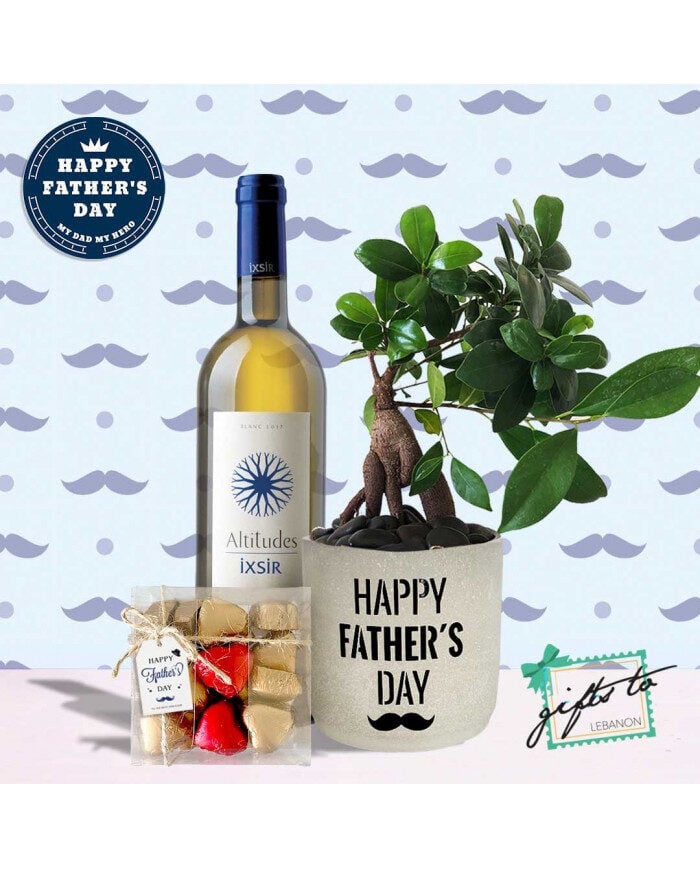 Father's Day Bonsai Set