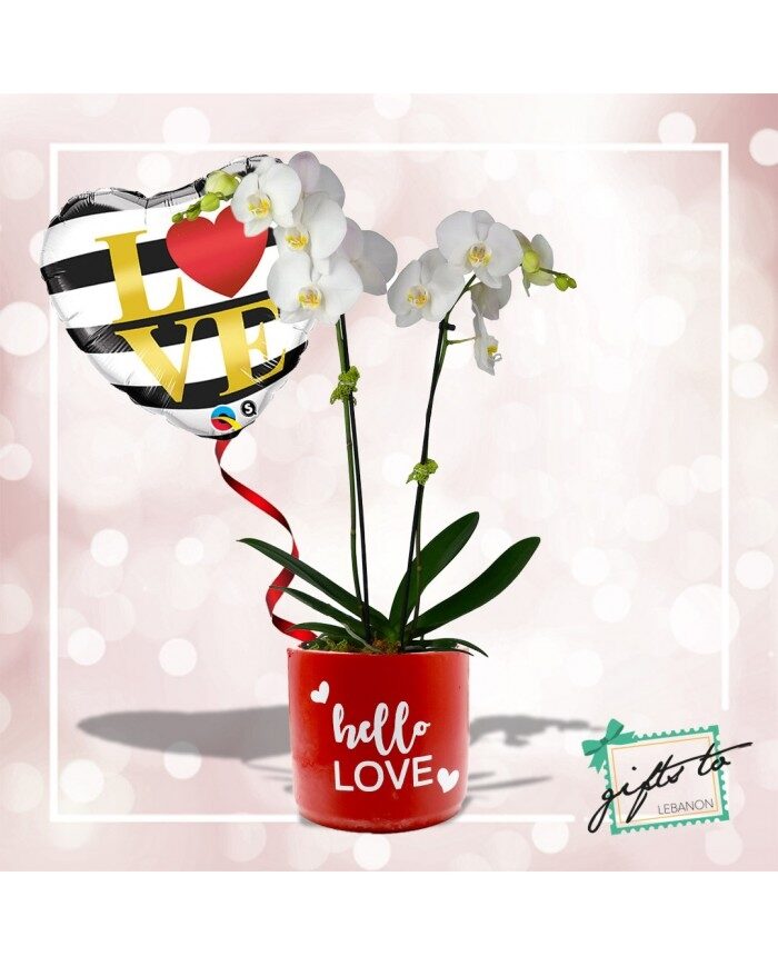 White Love Pot