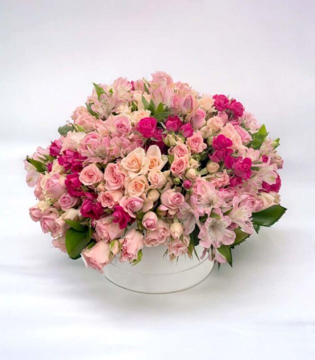 Royal Garden Of Baby Roses