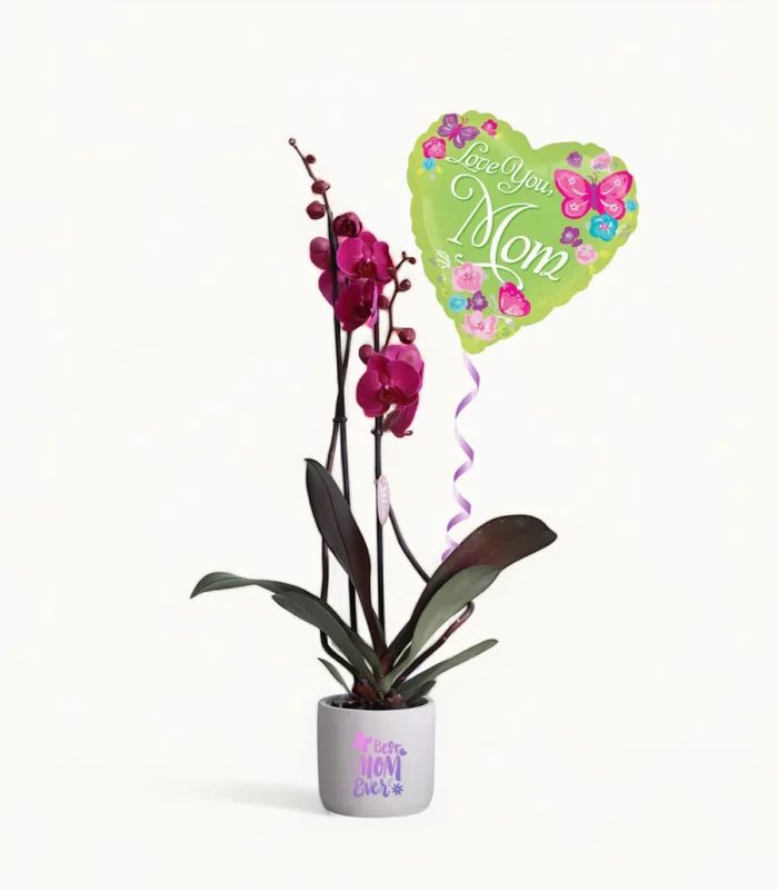 LOVE YOU MOM Double Stem Purple Orchids