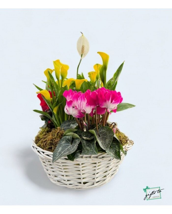Garden Spring Splendor Basket