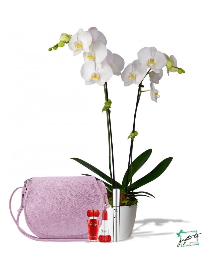 PUPA MILANO and Double Stem Orchid Gift Bundle