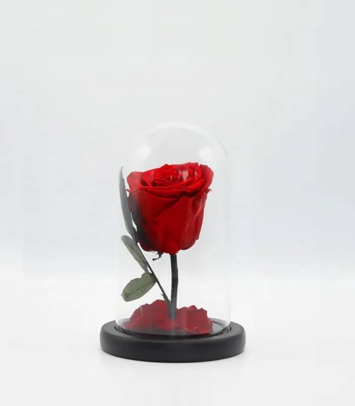 Eternal Red Rose in Glass Dome – A Timeless Symbol of Love